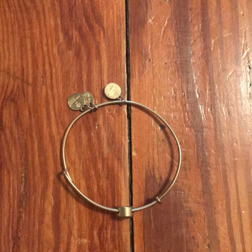 Alex and Ani Tree of Life Bracelet